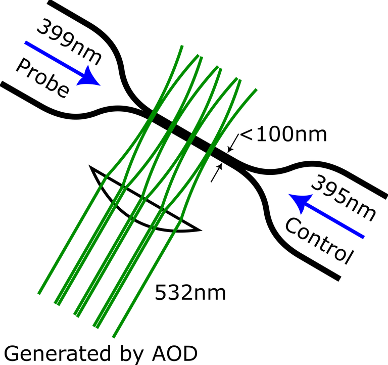 SS2025 - FYQO - Nanofiber_with_optical_tweezers.png