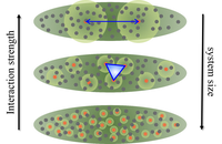 YQO_polariton_system.png