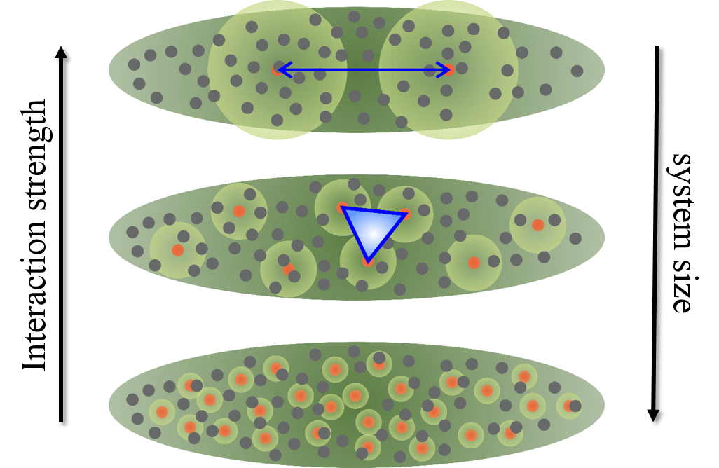 YQO_polariton_system.png