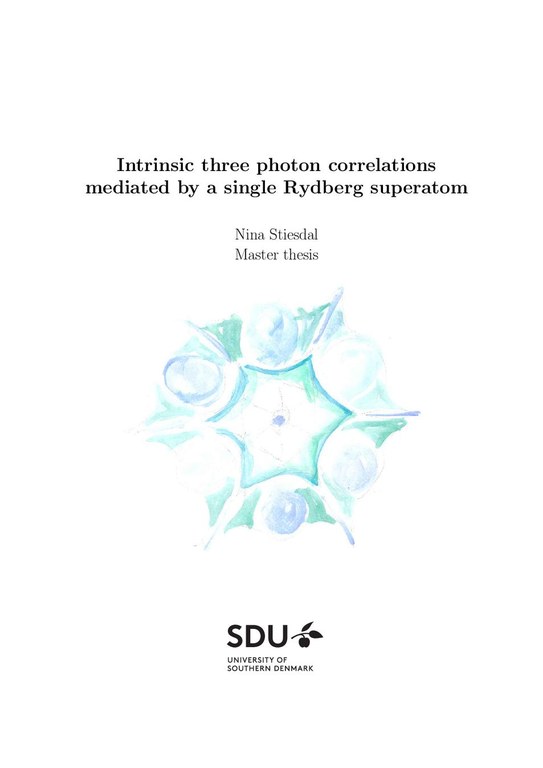 2018 - Nina Stiesdal - Master thesis.pdf